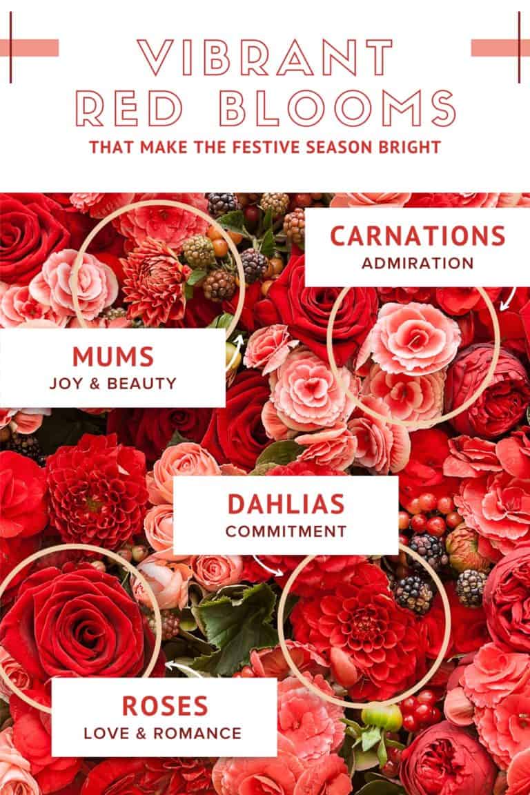Celebrate the Holiday Season with Vibrant & Exciting Red Flowers