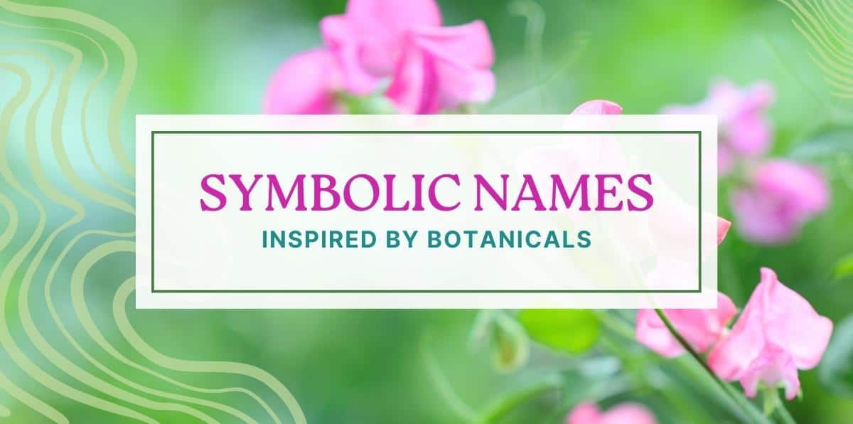 Whimsical Botanical Names for Your Precious Baby or Sweet Pet 