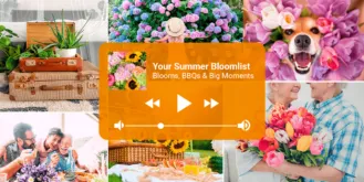 Lifestyle—BC—Summer Playlist—Blog Header